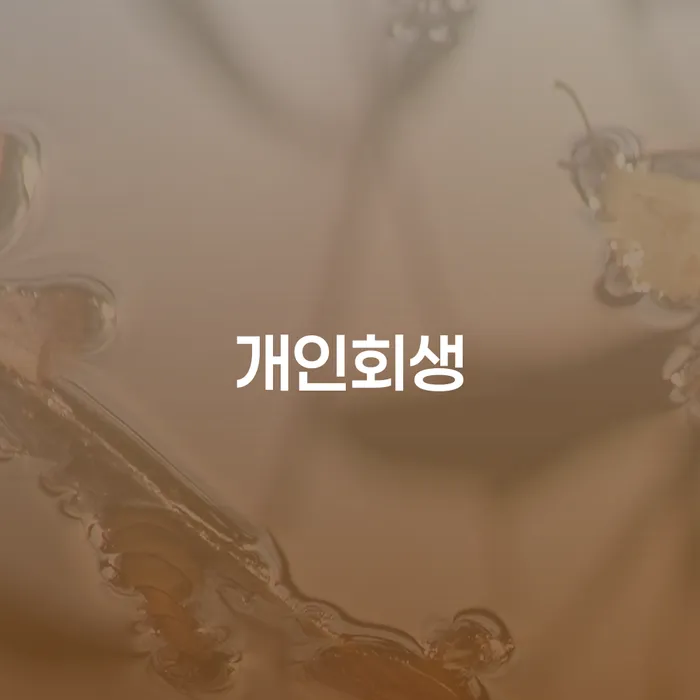 신사동 개인회생, 신청자격과 절차가 궁금하다면?