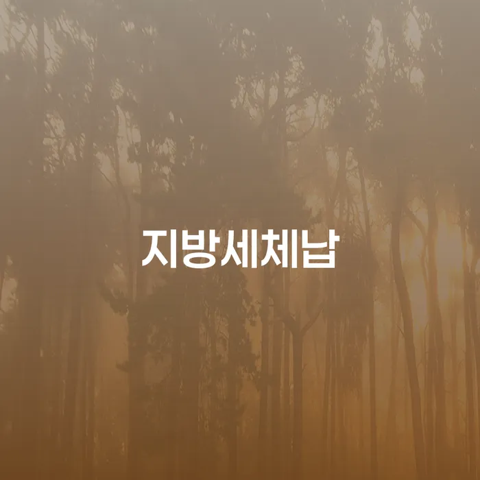 지방세체납 문제, 인천지방법원개인회생으로 해결할 수 있을까요?