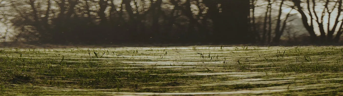 법무법인 서앤율